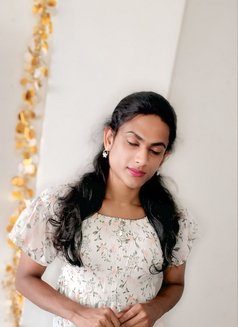 Coimbatore Hot Shemale Big Rod Monster - Transsexual escort in Coimbatore Photo 13 of 28