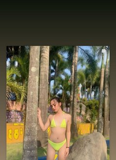 Coleen Babygirl - Acompañantes transexual in Al Ain Photo 12 of 23