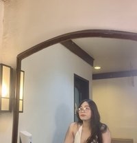 Coleng - Acompañantes transexual in Manila