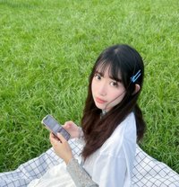 College Student Beibei Tg: @Sisi9896 - escort in Taipei