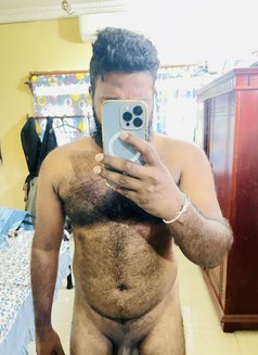 Colombo Bull & Best Pussy Licker - Acompañantes masculino in Colombo Photo 1 of 1