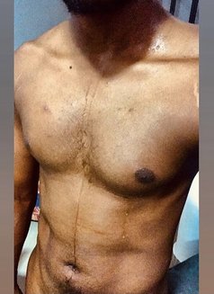 Colombo Stallion - Acompañantes masculino in Colombo Photo 6 of 6