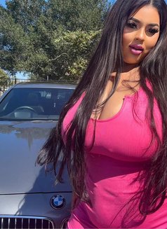 Visiting OCT 24-27 Huge Breasts BBW - escort in Frankfurt Photo 14 of 18