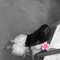 Come Slip and Slide! In This Wet Mouth - escort in Owerri