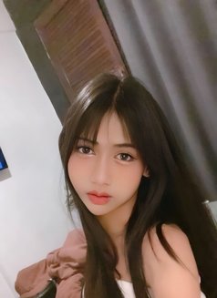 Come to Be My Slave - Acompañantes transexual in Phuket Photo 1 of 4