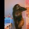 COME to mummy Olny ::7085/431/580 - escort in Noida