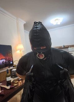 Come Worship My Holly Pussy Pathetic Dog - Acompañantes transexual in Doha Photo 6 of 7
