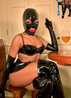 Come Worship My Holly Pussy Pathetic Dog - Acompañantes transexual in Doha Photo 7 of 7