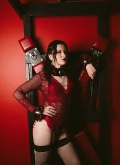 Comtesse Mallory - Transsexual dominatrix in Montreal Photo 1 of 12