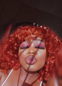 Coockie 8 - adult performer in Nairobi Photo 1 of 4