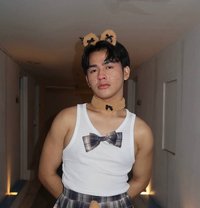 Coocoo - Acompañantes masculino in Taipei