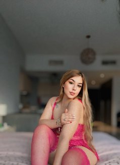 Cookie New in Dubai (Anal) - puta in Dubai Photo 7 of 8