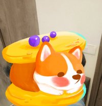 Couple escort Jaipur - Transsexual escort in Jaipur