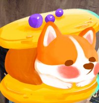 Couple escort Jaipur - Transsexual escort in Jaipur