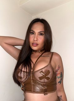 Corazon leaving tomorrow - Transsexual escort in Taichung Photo 12 of 14