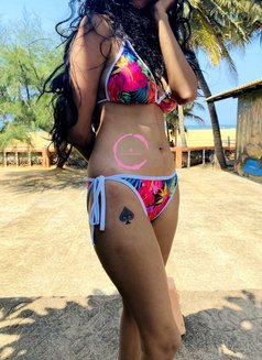 Couplemuffins - Asian Cuckold Couple - escort in Colombo Photo 19 of 19