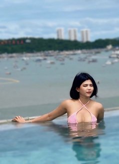 Cream New Escort Bangkok - escort in Bangkok Photo 8 of 11