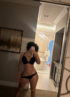 Creambaby - escort in Sydney Photo 1 of 3