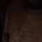 Arman - Male escort in Loughborough
