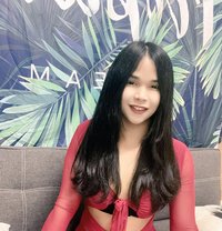 Creammy Ladyboy - Transsexual escort in Bangkok