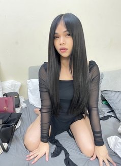 Creammy Ladyboy - Transsexual escort in Bangkok Photo 8 of 9