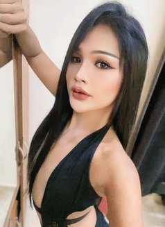 Creammy New Ladyboy Salalah - Transsexual escort in Şalālah Photo 1 of 6