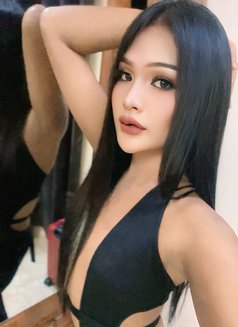 Creammy New Ladyboy Salalah - Transsexual escort in Şalālah Photo 2 of 6
