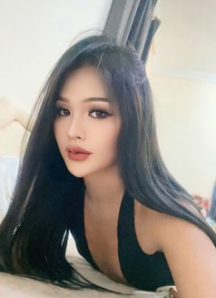 Creammy New Ladyboy Salalah - Transsexual escort in Şalālah Photo 4 of 6