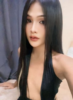 Creammy New Ladyboy Salalah - Transsexual escort in Şalālah Photo 6 of 6