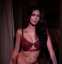 𝐋𝐔𝐒𝐓𝐘_𝐘𝐒𝐀𝐁𝐄𝐋 - Transsexual escort in Bangkok