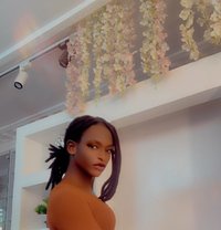 Creamy Pusy - Transsexual escort in Abuja