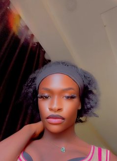 Creamy Pusy - Transsexual escort in Abuja Photo 3 of 4