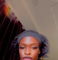 Creamy Pusy - Transsexual escort in Abuja