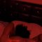 Creamy Pusy - Transsexual escort in Abuja