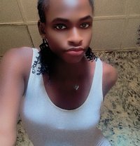 Creamy Pusy - Transsexual escort in Abuja