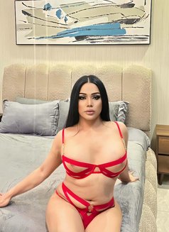 Cris ladyboy Chubby 69 - Transsexual escort in Khobar Photo 8 of 14