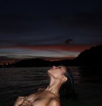 Crisha - Transsexual escort in Manila