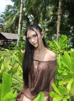 Crisha - Transsexual escort in Manila Photo 5 of 8