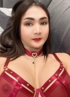 Crispy New Ladyboy - masseuse in Al Manama Photo 10 of 11