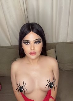 Chubby ladyboy - Transsexual escort in Al Manama Photo 12 of 16