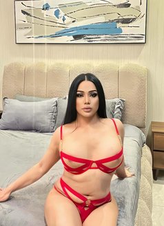 Cristina New Ladyboy69 - Transsexual escort in Dammam Photo 1 of 11
