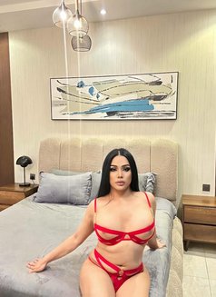 Cristina New Ladyboy69 - Transsexual escort in Dammam Photo 6 of 11