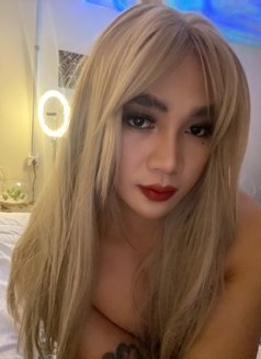 #New Philippines 🇵🇭 hot Crossdresser - Transsexual escort in Doha Photo 2 of 19