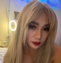 CROSSDRESSER#New Philippines 🇵🇭 - Acompañantes transexual in Doha