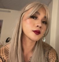 FemboyCROSSDRESSER#New Philippines 🇵🇭 - Acompañantes transexual in Doha