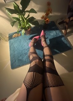 FemboyCROSSDRESSER#New Philippines 🇵🇭 - Acompañantes transexual in Doha Photo 8 of 11