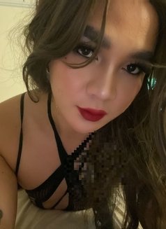 FemboyCROSSDRESSER#New Philippines 🇵🇭 - Acompañantes transexual in Doha Photo 10 of 11