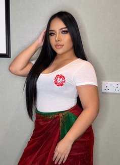 CRS THAI 6.5 inch HARD TOP & BOTH - Acompañantes transexual in Abu Dhabi Photo 11 of 13