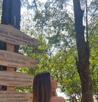 Crystals - Transsexual escort in Krabi