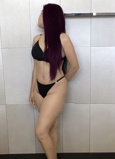 Cuckold Couple for Foreigners ( None SL - escort in Colombo Photo 1 of 6